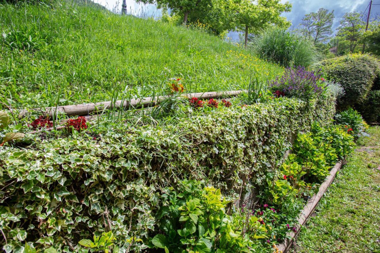L'Ado Villa Ripoll Eksteriør billede
