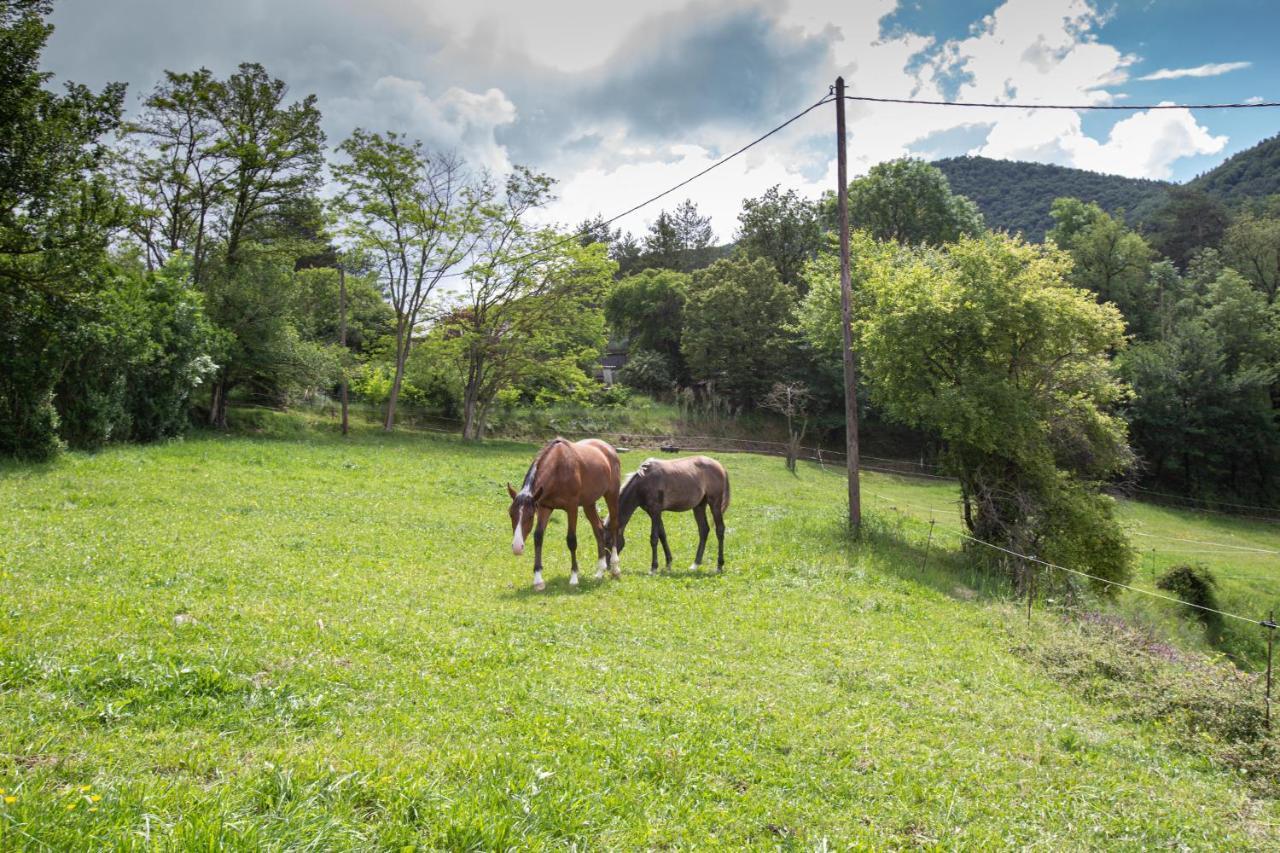 L'Ado Villa Ripoll Eksteriør billede